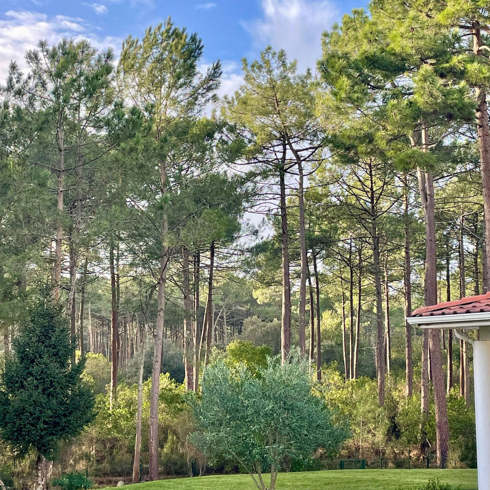 � vendre  Maison Lacanau Ocean (33680)