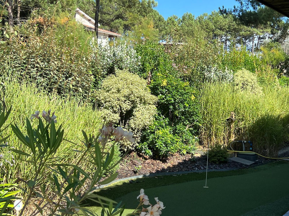 � vendre  Maison Lacanau Ocean (33680)