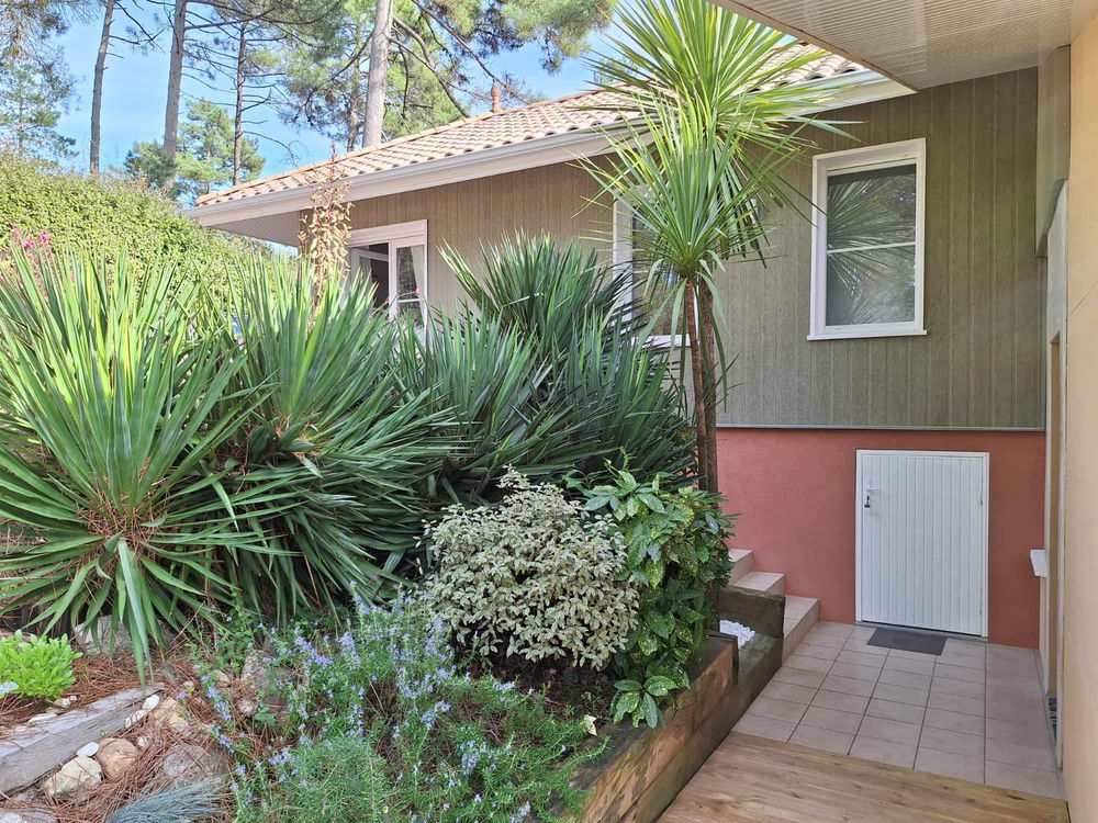 � vendre  Maison Lacanau Ocean (33680)