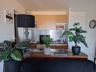  Appartement � vendre 3 pi�ces 42 m�