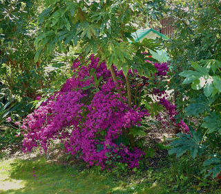  Maison � vendre 8 pi�ces 175 m�