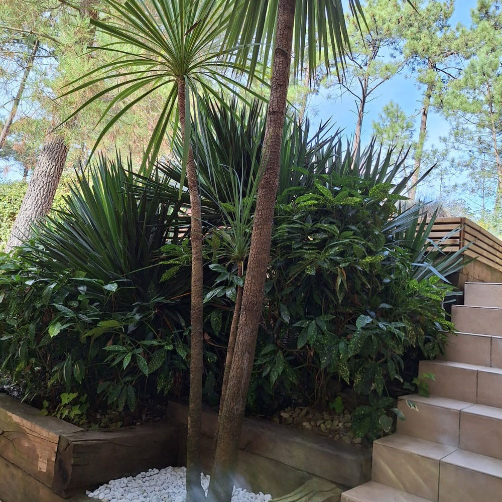 � vendre  Maison Lacanau Ocean (33680)