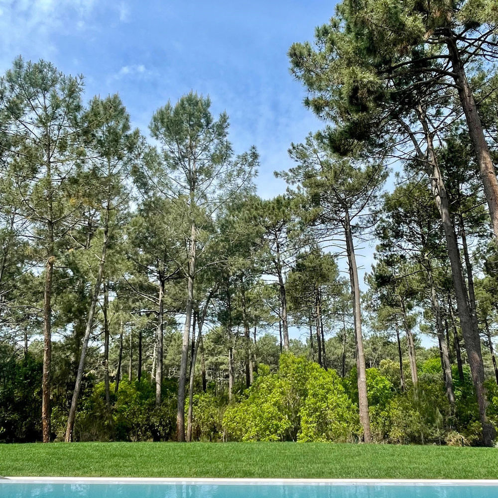 � vendre  Maison Lacanau Ocean (33680)