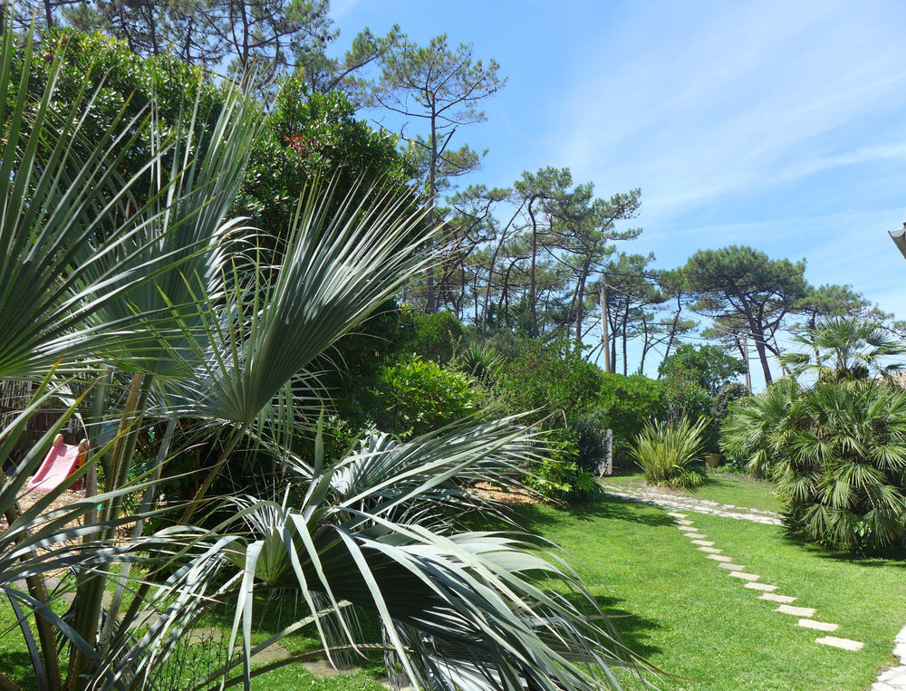 � vendre  Maison Lacanau Ocean (33680)