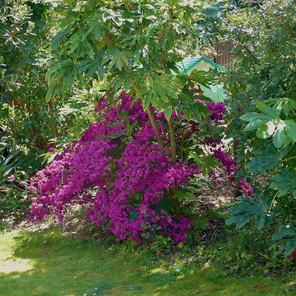 � vendre  Maison Lacanau Ocean (33680)