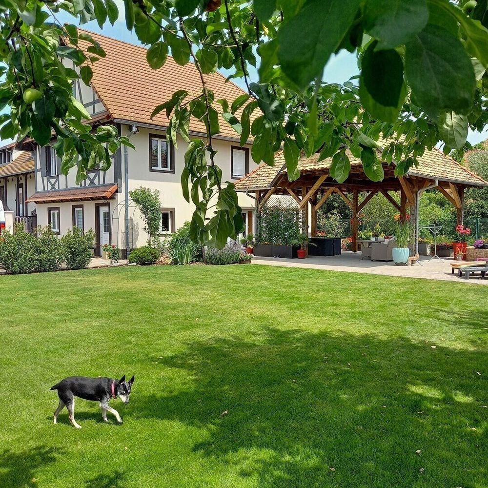 � vendre  Maison Rhinau (67860)