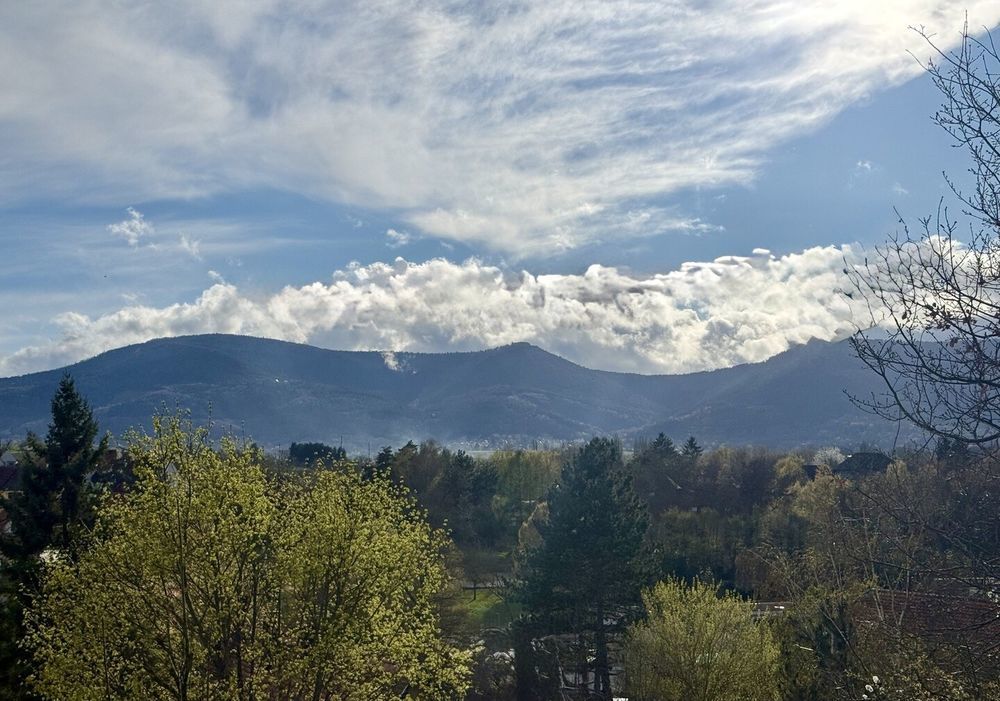 � vendre  Maison Obernai (67210)