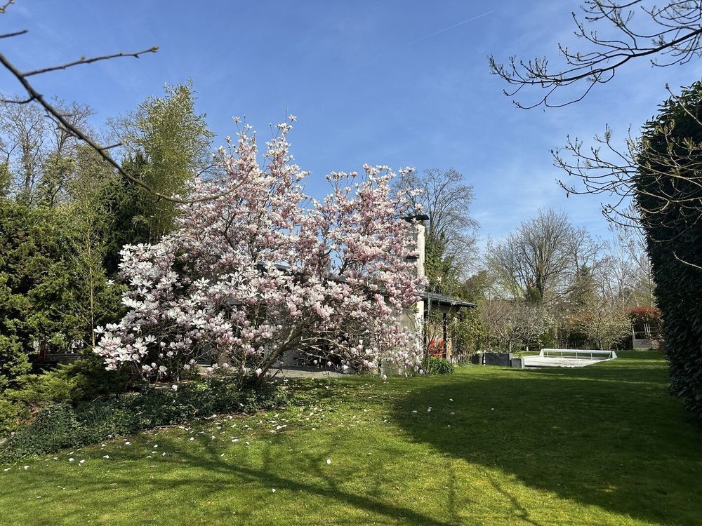 � vendre  Villa Mulhouse (68100)