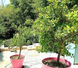  Maison � vendre 6 pi�ces 141 m�