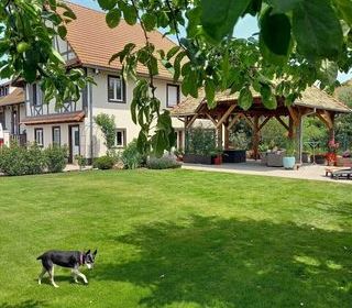  Maison � vendre 15 + pi�ces 330 m�