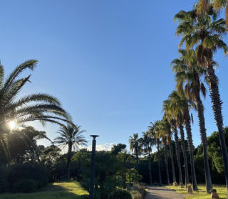  Maison � vendre 3 pi�ces 32 m�