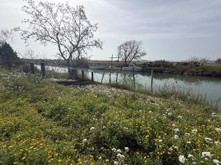  Maison � vendre 5 pi�ces 140 m�