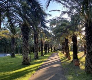  Maison � vendre 3 pi�ces 32 m�