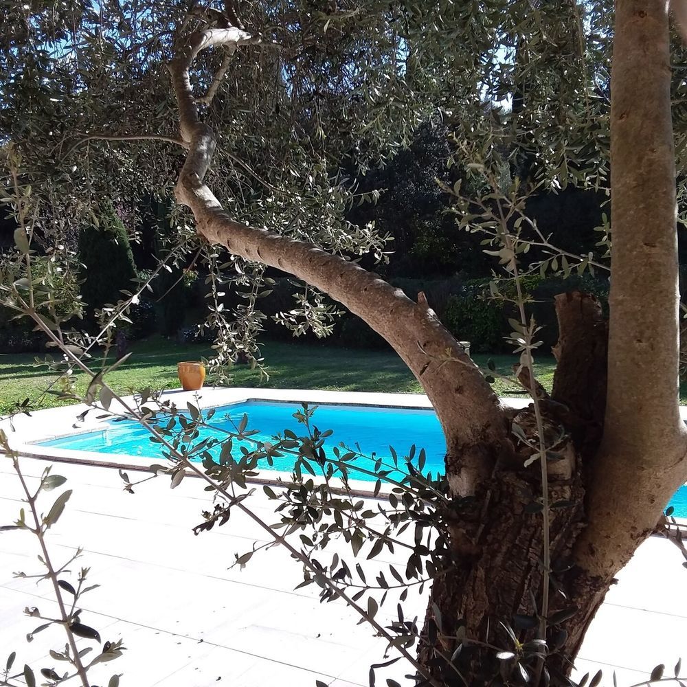 � vendre  Maison Palaja (11570)