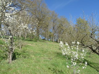  Maison � vendre 4 pi�ces 88 m�