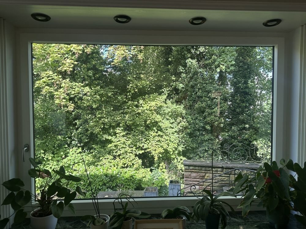 � vendre  Villa Mulhouse (68100)