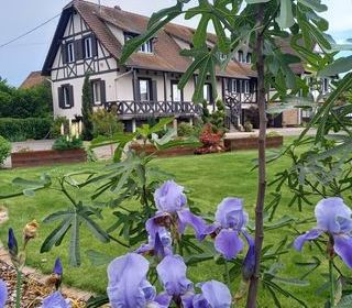  Maison � vendre 15 + pi�ces 330 m�