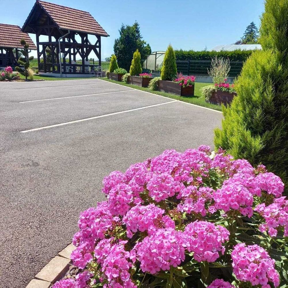 � vendre  Maison Rhinau (67860)