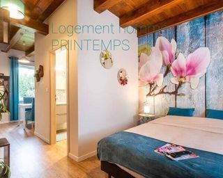  Maison � vendre 15 + pi�ces 330 m�