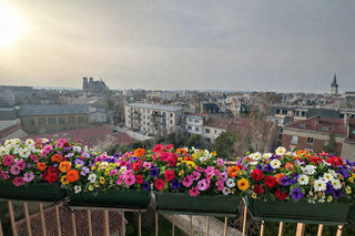  Appartement � vendre 3 pi�ces 72 m�