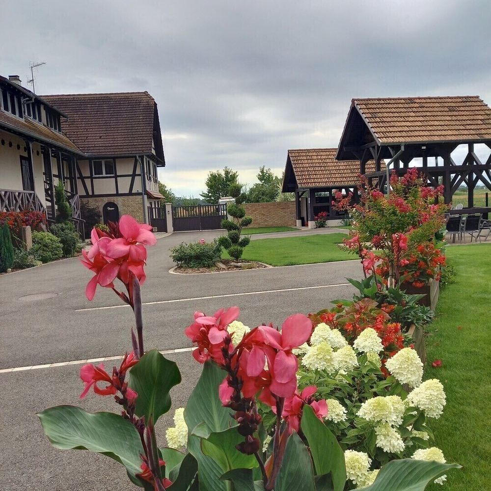 � vendre  Maison Rhinau (67860)