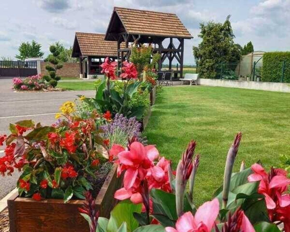 � vendre  Maison Rhinau (67860)