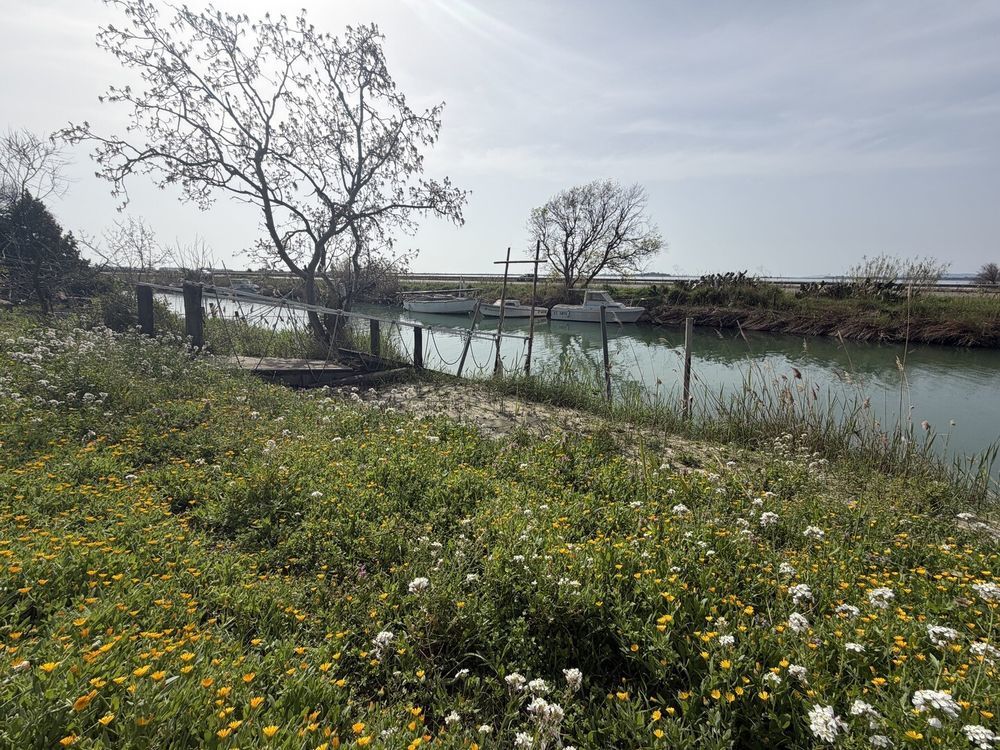 � vendre  Maison Palavas-les-Flots (34250)