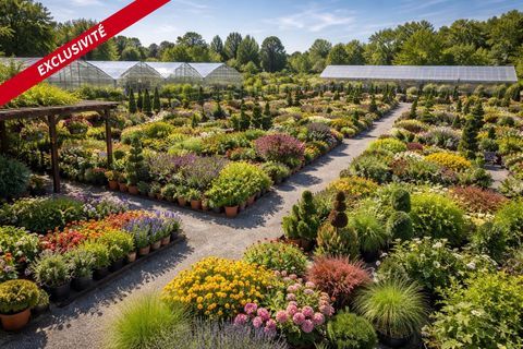 Vente p&eacute;pini&egrave;re - 25 minutes de Vannes (foncier / mat&eacute;riel et fonds de commerce) 248300 56000 Vannes