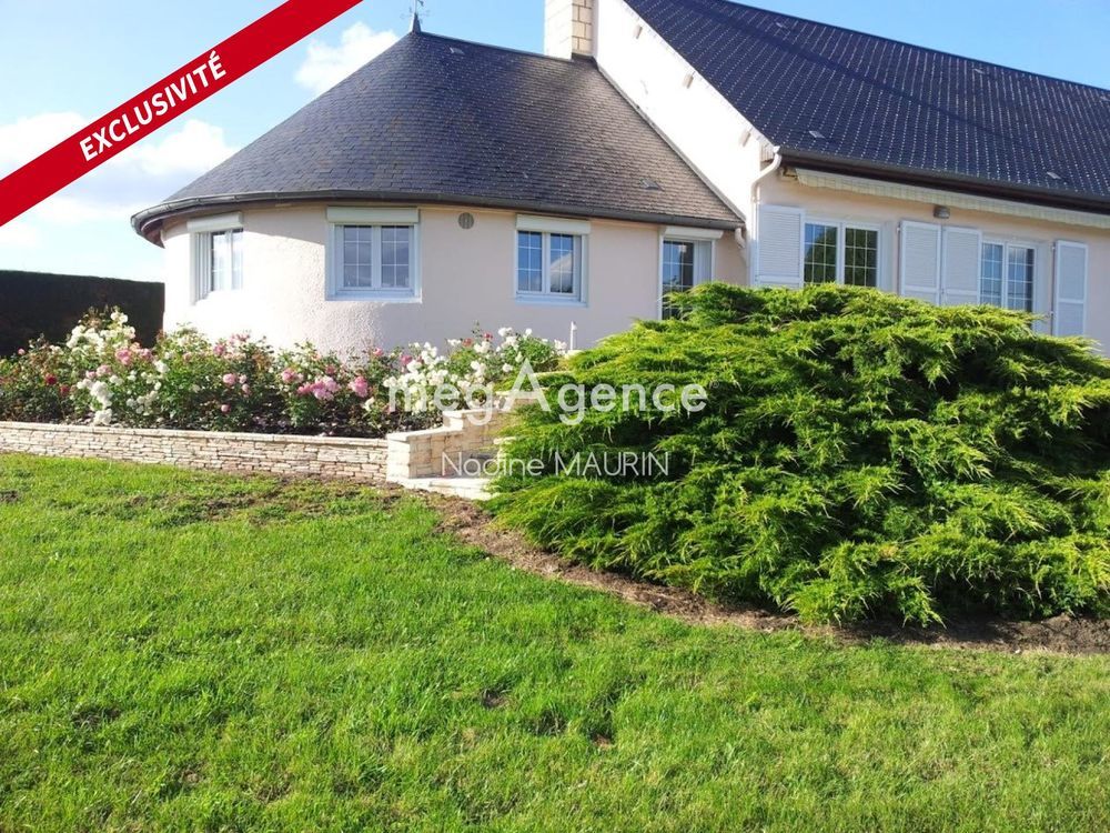 � vendre  Maison Gy-en-Sologne (41230)