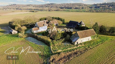   Magnifique manoir seigneurial Propri�t�/ch�teau - 7 pi�ce(s) - 268 m�