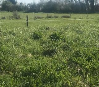  Terrain � vendre 12500 m�