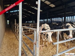  Maison � vendre 3 pi�ces 2000 m�