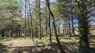  Terrain � vendre 5600 m�