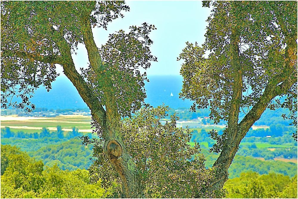 � vendre  Maison Bastelicaccia (20129)