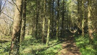  Terrain � vendre 5600 m�