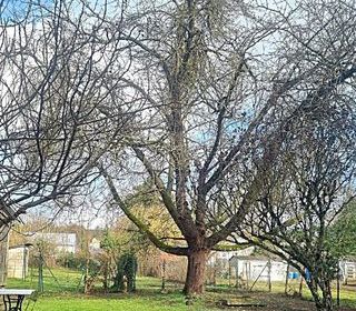  Immeuble � vendre 132 m�