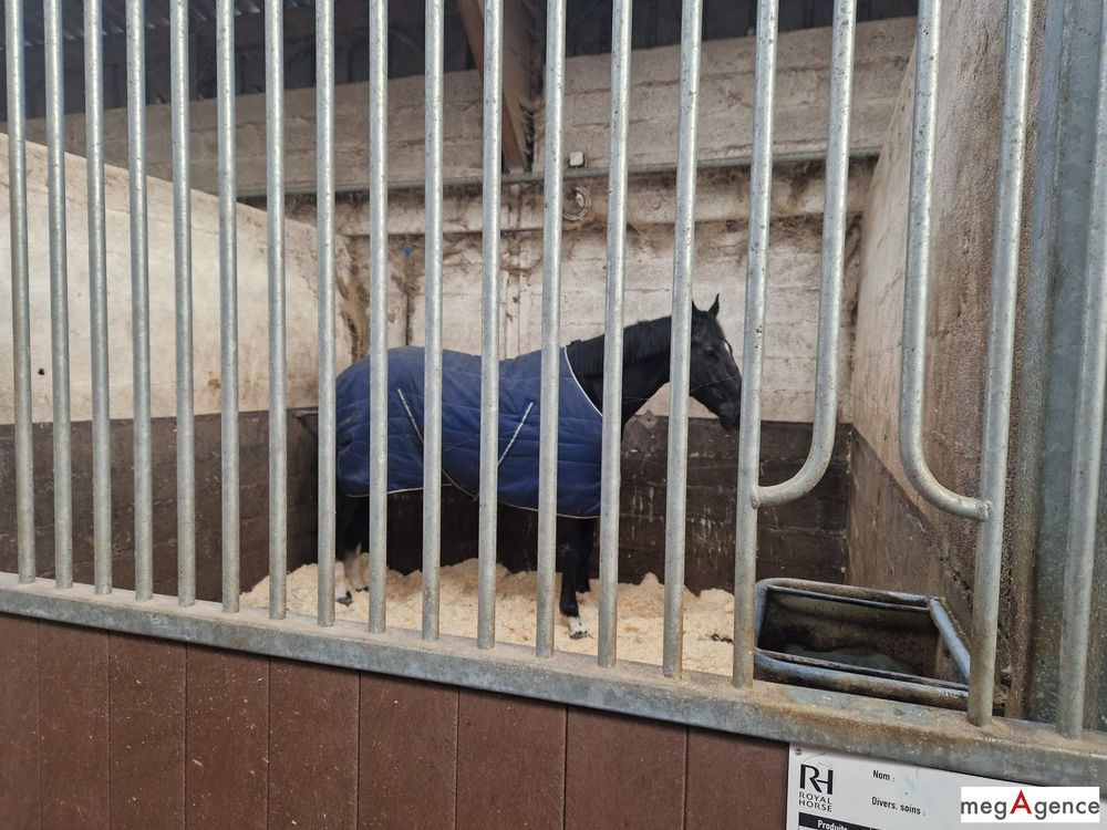 � vendre  Maison La Chapelle-sur-Erdre (44240)