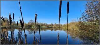  Terrain � vendre 14317 m�