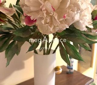  Maison � vendre 6 pi�ces 210 m�