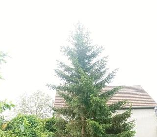  Terrain � vendre 327 m�