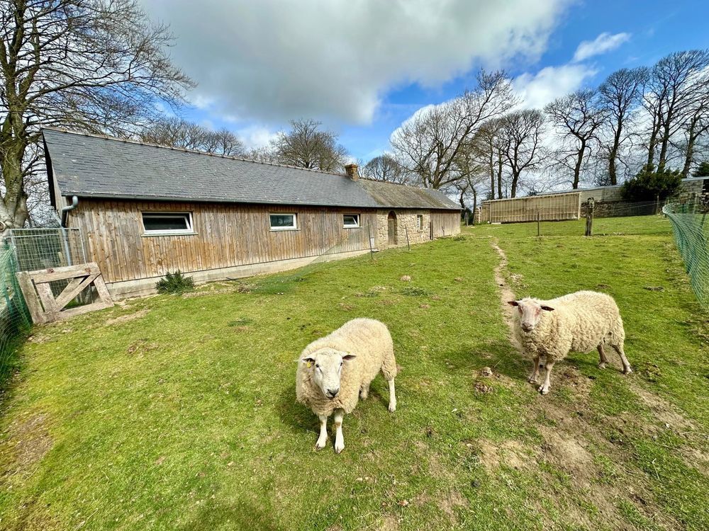 � vendre  Maison Saint-Brice-en-Cogl�s (35460)