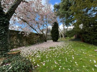  Maison � vendre 7 pi�ces 160 m�