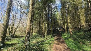  Terrain � vendre 5600 m�