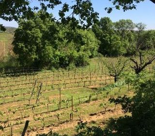  Terrain � vendre 27000 m�