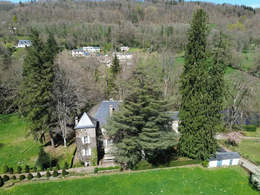 � vendre  Propri�t�/ch�teau Brassac (81260)