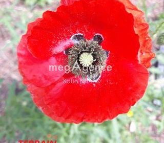  Terrain � vendre 600 m�