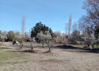  Terrain � vendre 8000 m�