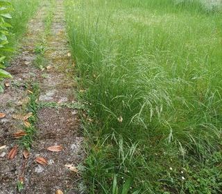  Terrain � vendre 327 m�