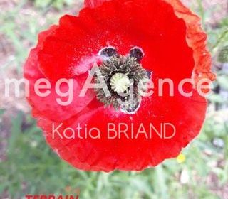  Terrain � vendre 7779 m�