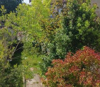  Maison � vendre 2 pi�ces 55 m�